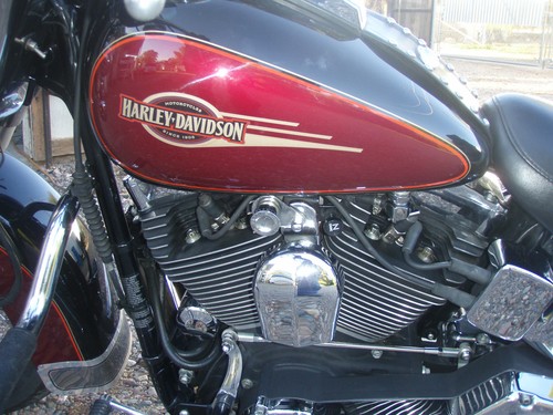 Harley acr auto compression - acr,